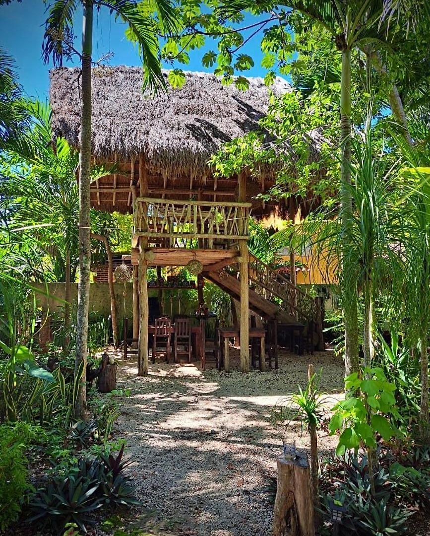 Bed and breakfast Casa Mango 4*