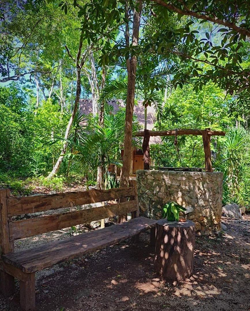 Casa Mango Bed and breakfast