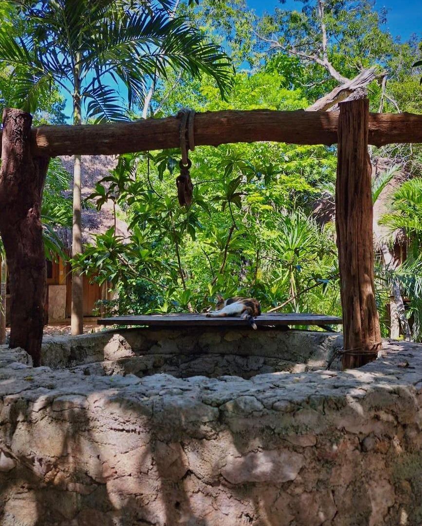 Casa Mango Bed and breakfast 4*