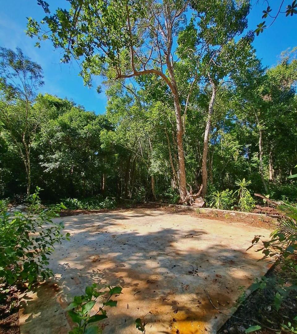 Casa Mango 4*