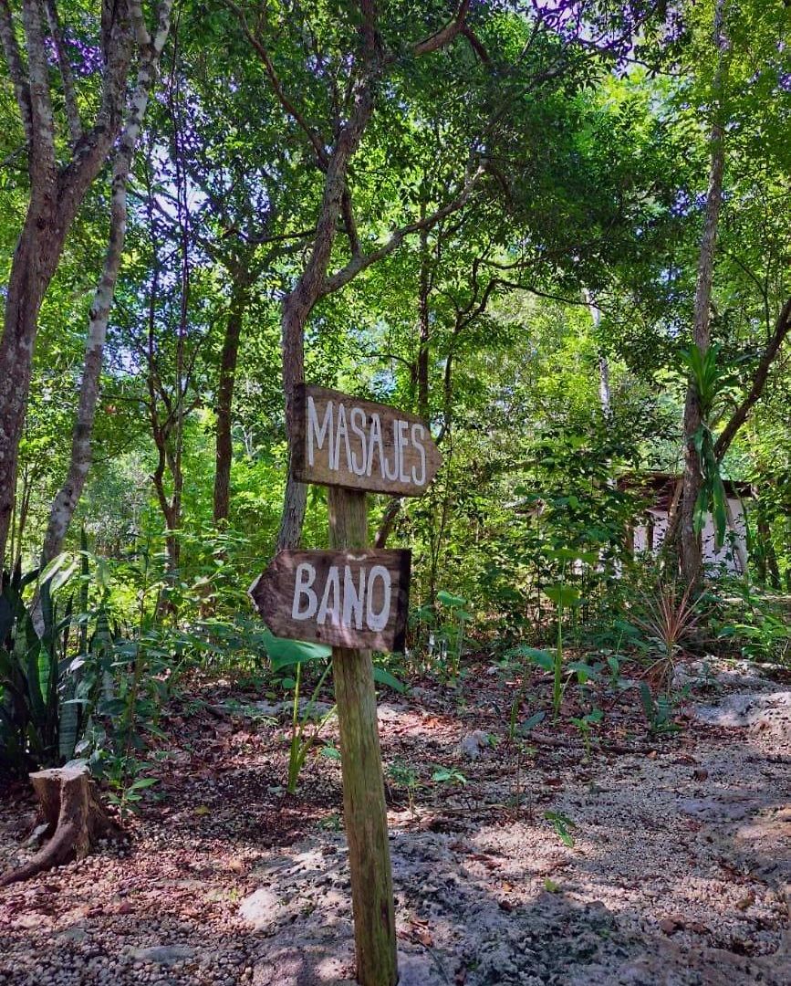 Casa Mango Bed and breakfast 4*