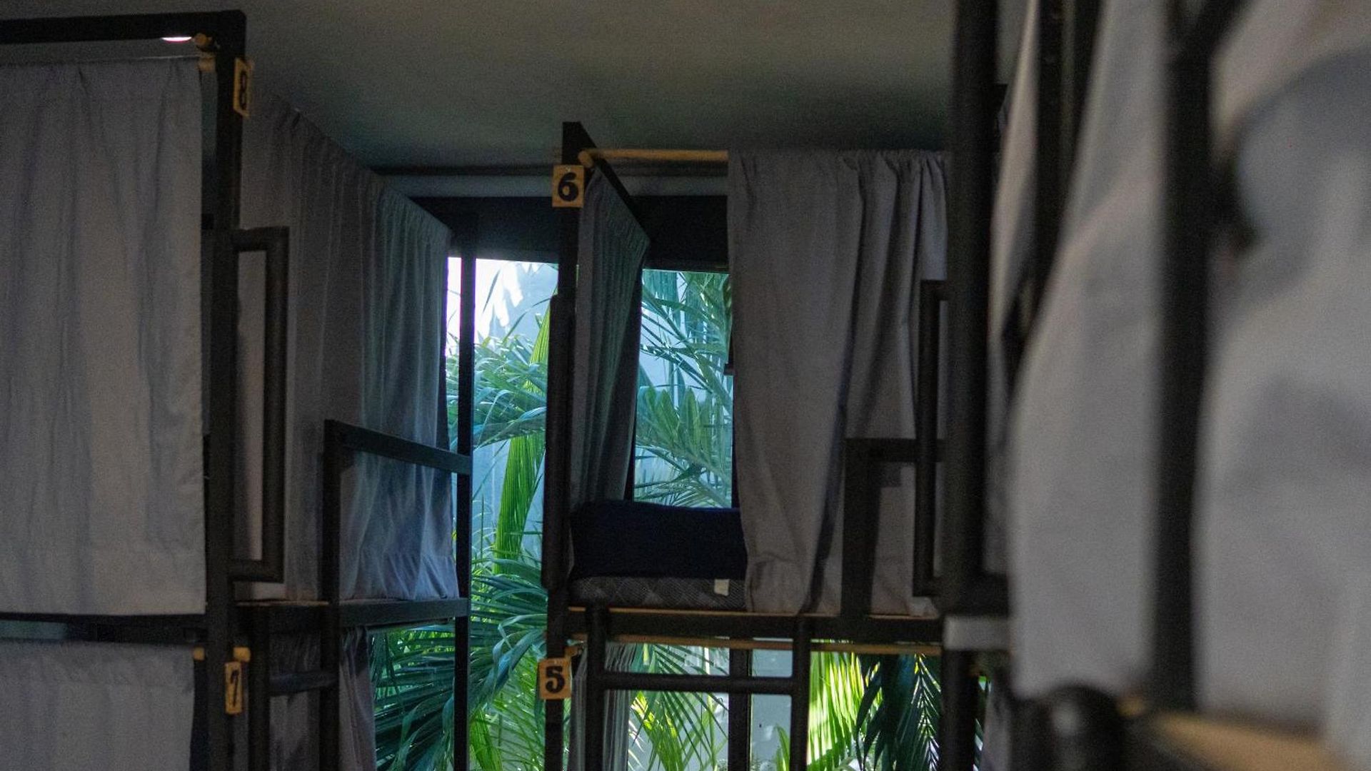 Maui Hostal