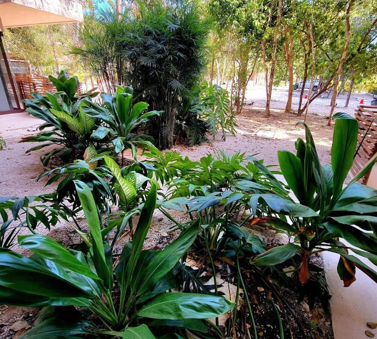 Apartment De Ensueno Con Cenote Privado *