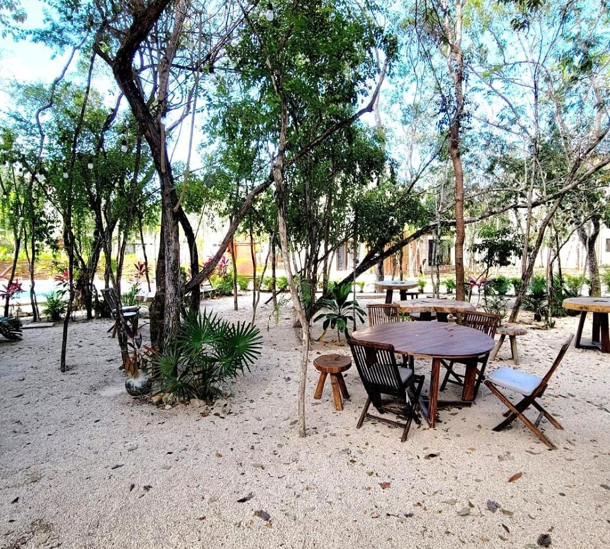 Apartment De Ensueno Con Cenote Privado Tulum