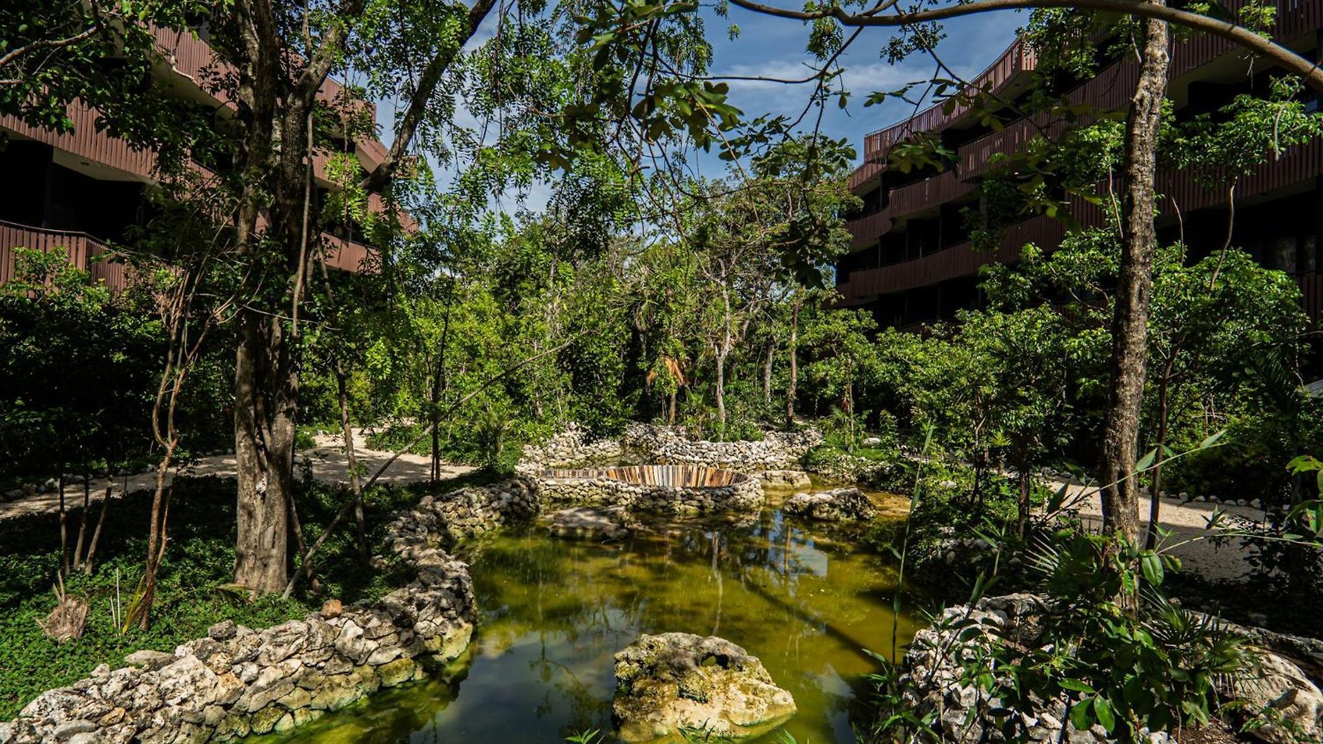 Aparment In The Zone Of Tulum