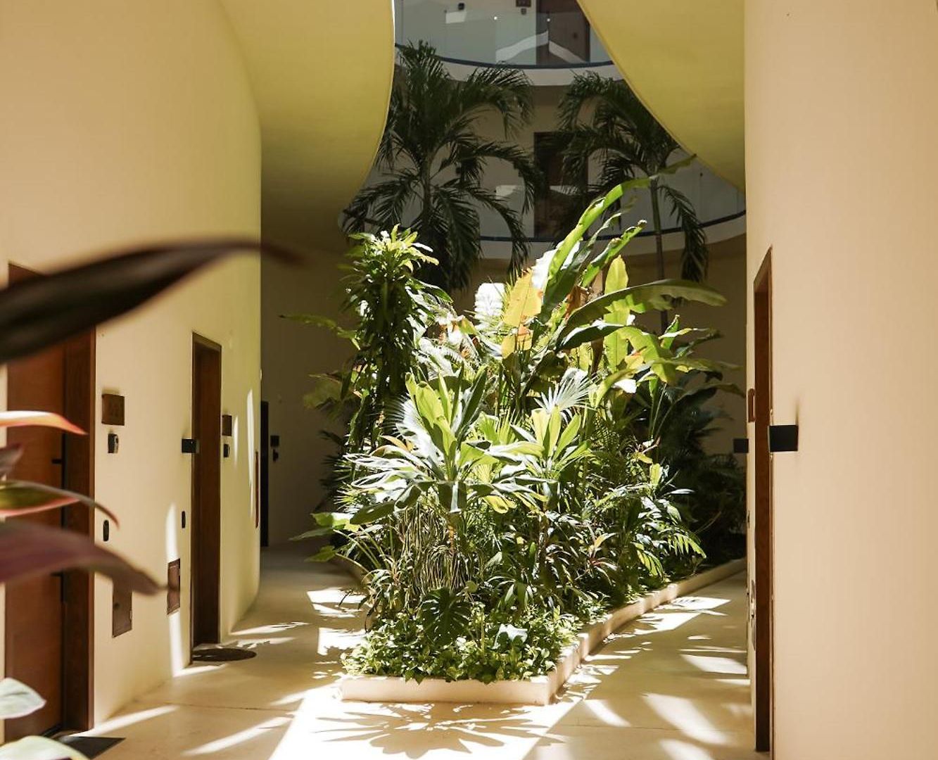 Mistiq Gardens 2