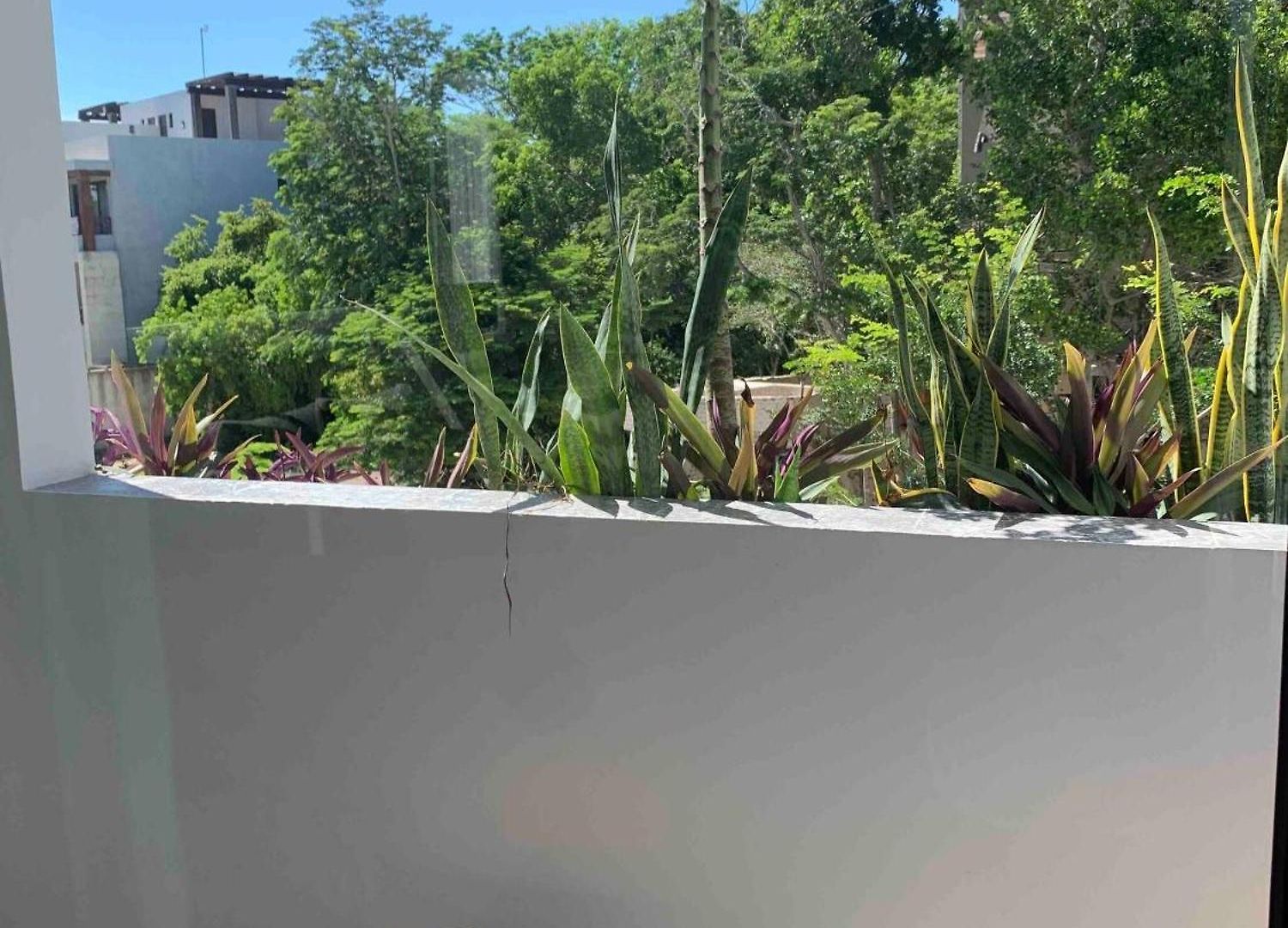 Perfect Light And Nature In Aldea Zama Tulum