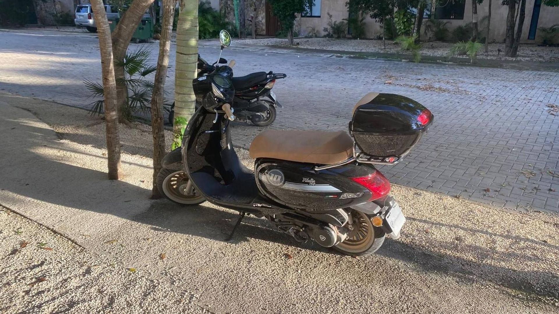 Perfect Light And Nature In Aldea Zama Apartment *