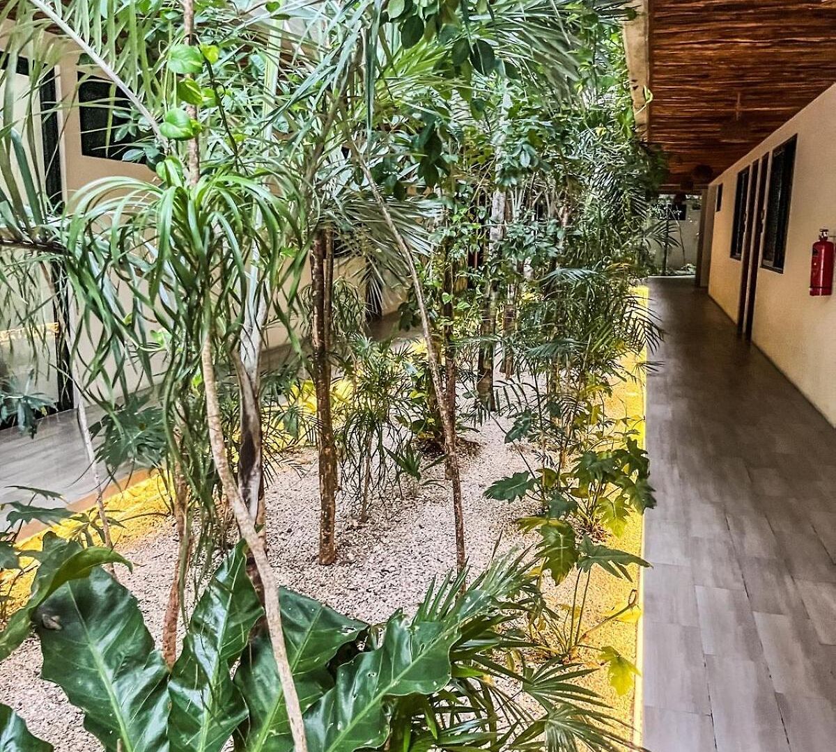 Apartamento 15 Min Walking Near Of Beach, Private Pool, 1 Bed, 1 Sofacama, 1 Inflatable Tulum
