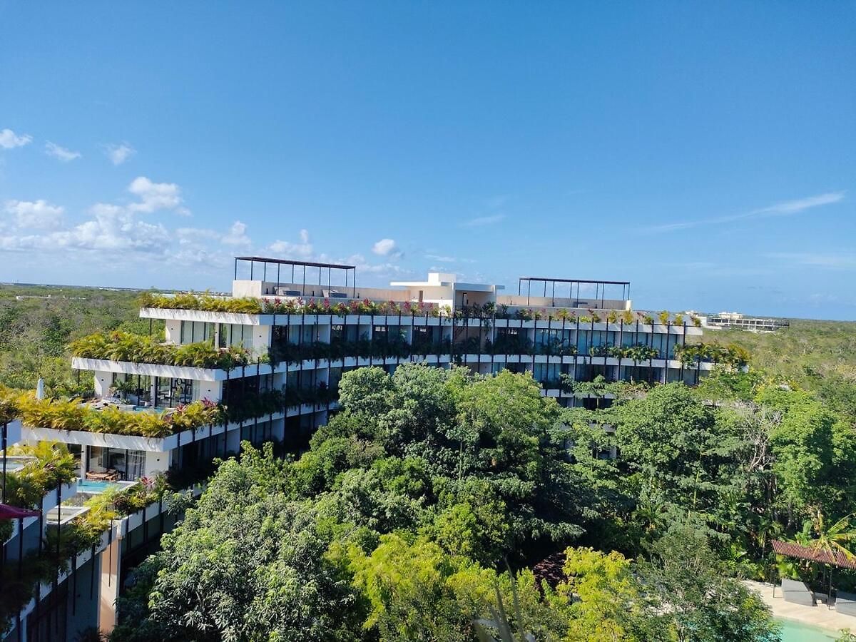 Discreet Luxury Between Jungle And Caribbean Mistiq T 2 Apartment