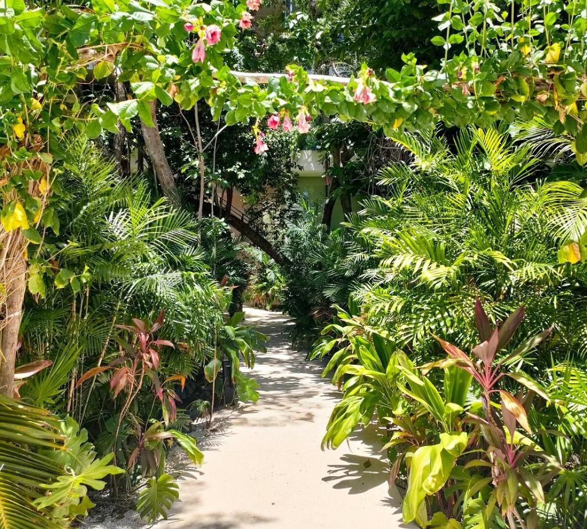 Discreet Luxury Between Jungle And Caribbean Mistiq T 2 * Tulum