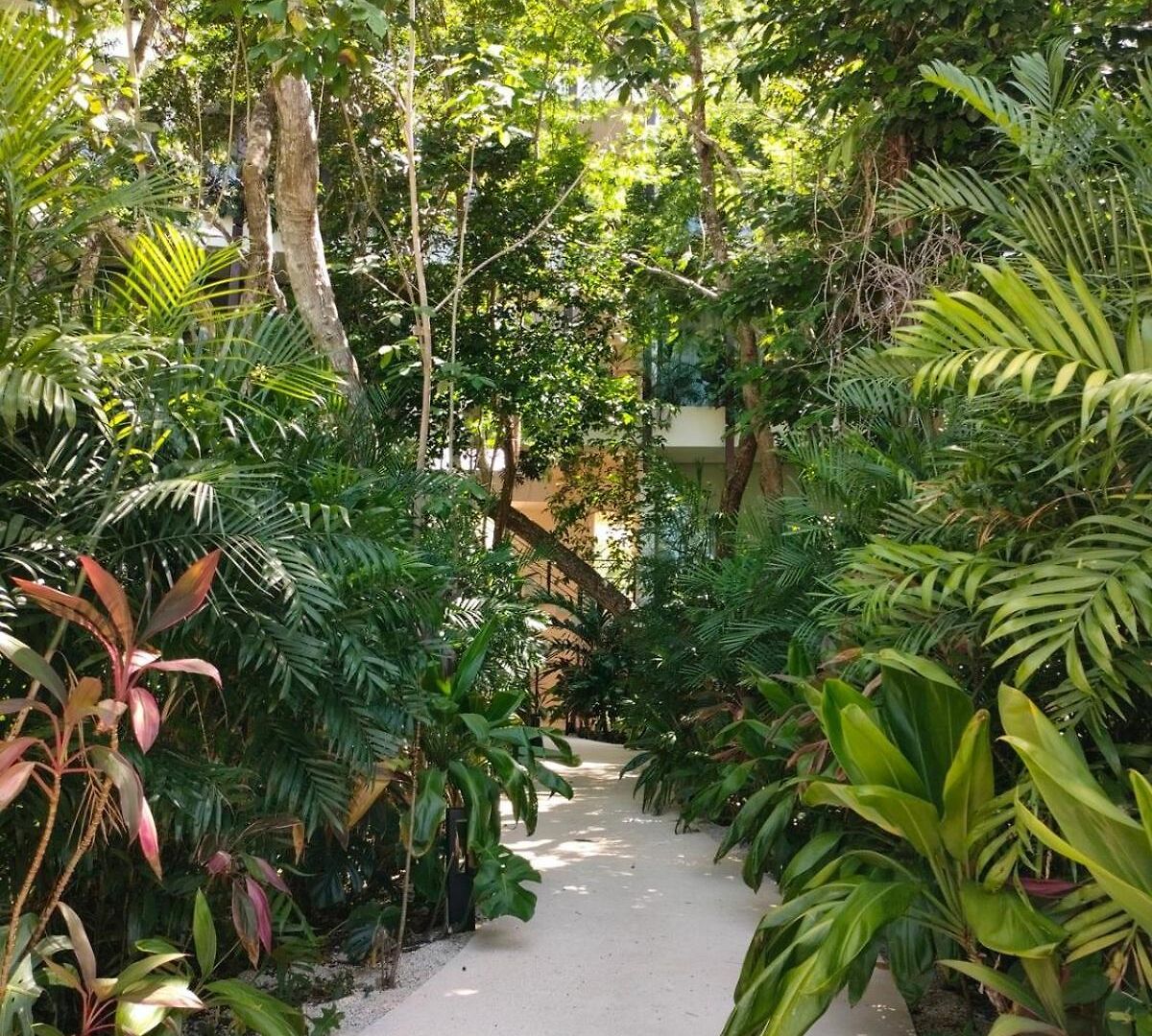 Apartment Discreet Luxury Between Jungle And Caribbean Mistiq T 2 Tulum