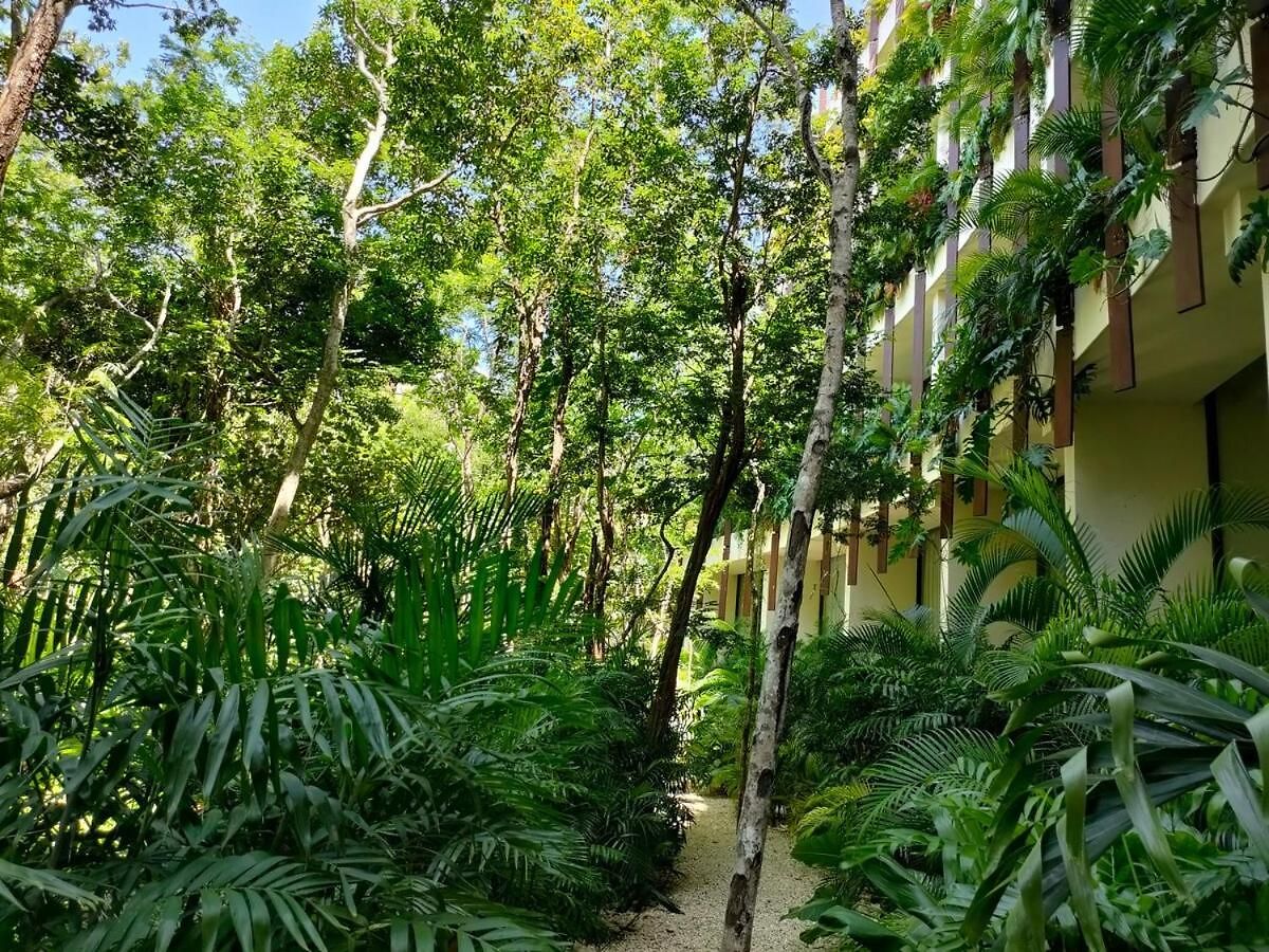 Apartment Discreet Luxury Between Jungle And Caribbean Mistiq T 2