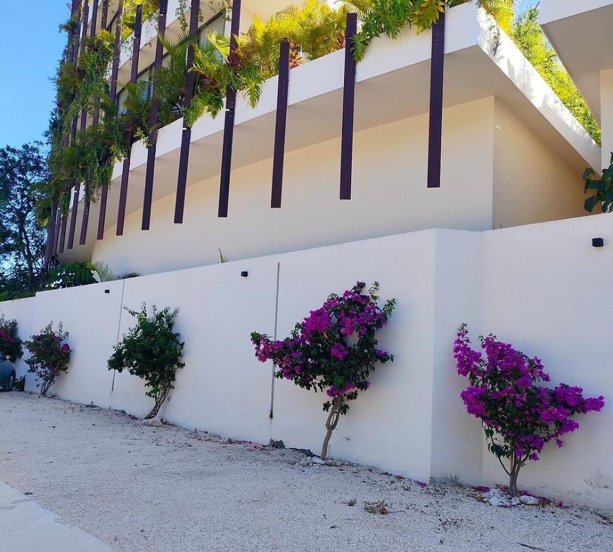 Discreet Luxury Between Jungle And Caribbean Mistiq T 2 * Tulum