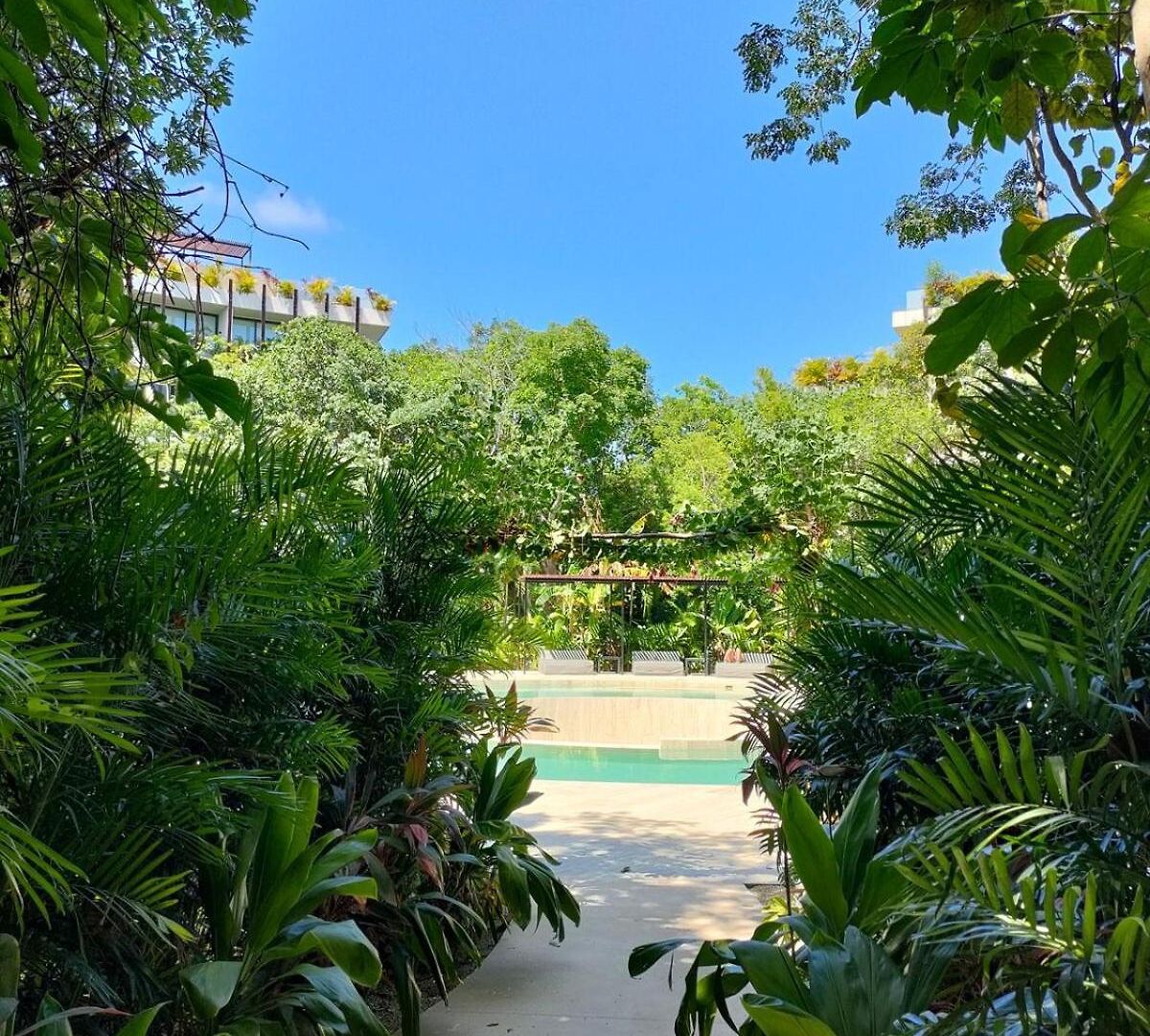Discreet Luxury Between Jungle And Caribbean Mistiq T 2 Apartment *
