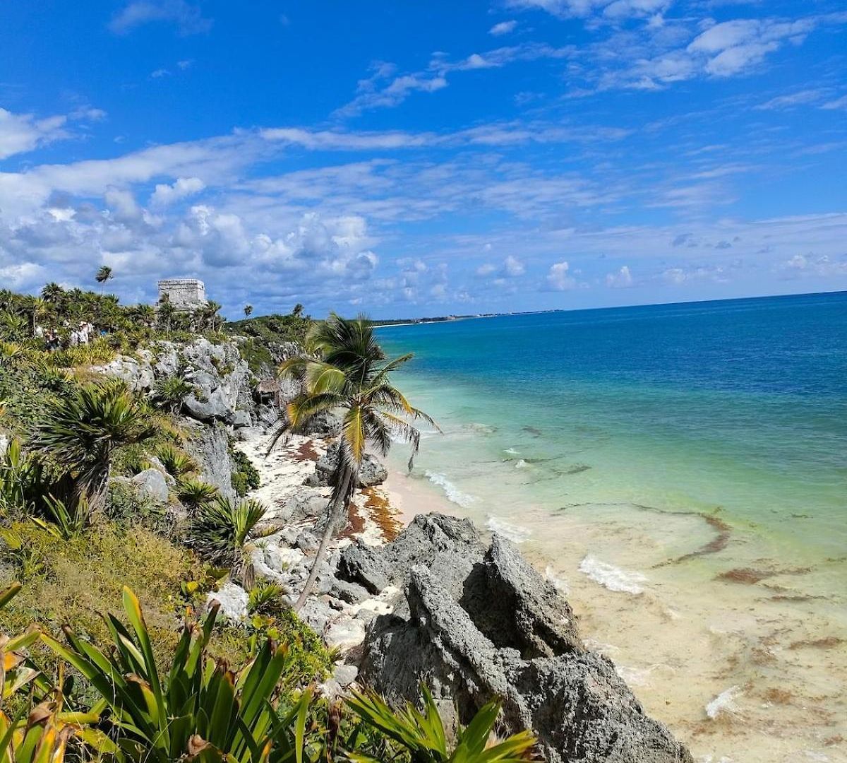 Apartamento Tropical Escape In A Cozy Paam Cheel