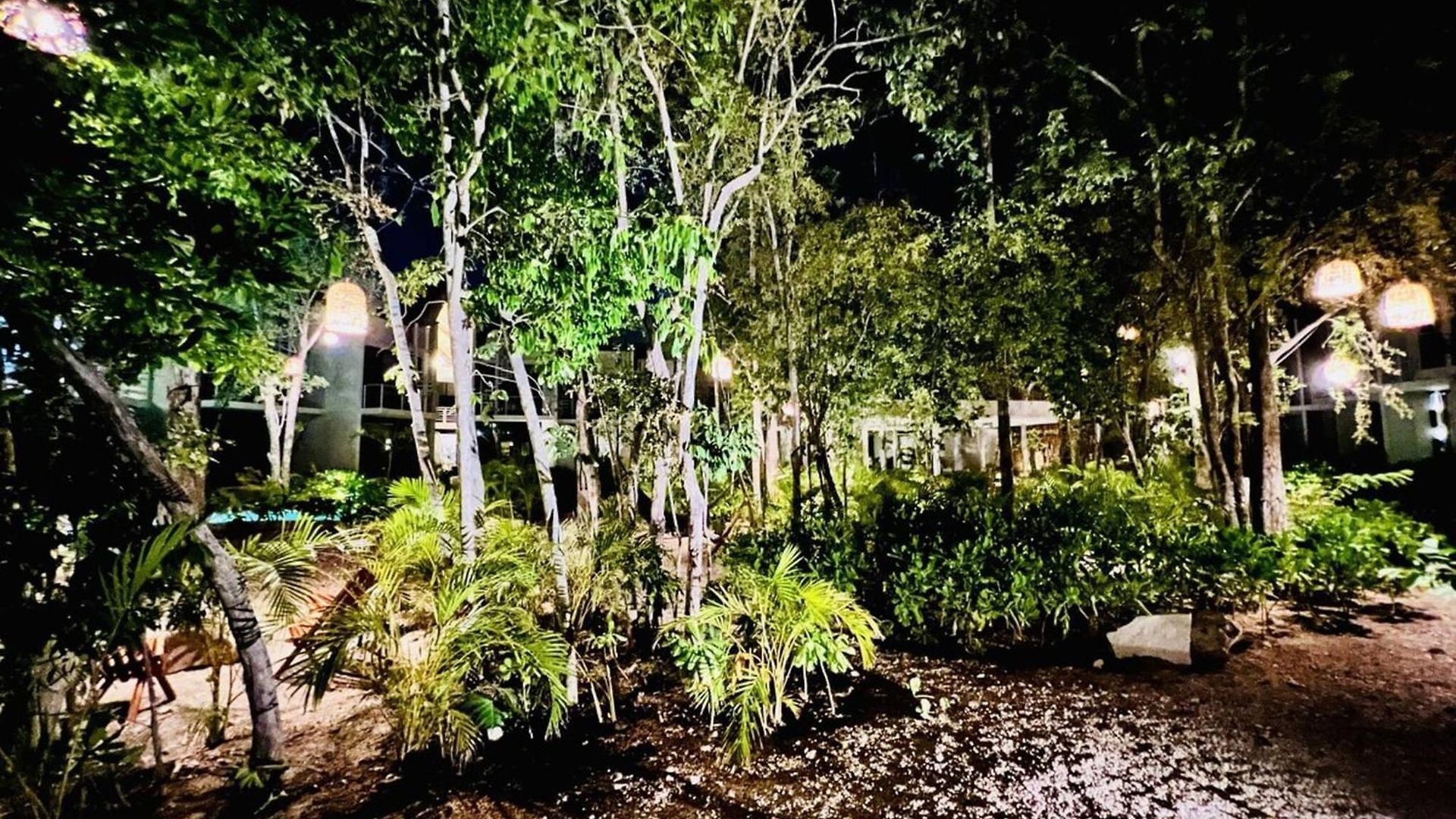 Apartamento Private Pool New King Bed Wifi 407 Selva Tulum