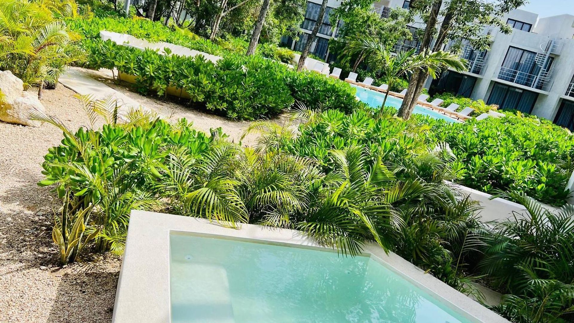 Apartamento Private Pool New King Bed Wifi 601 Selva Tulum