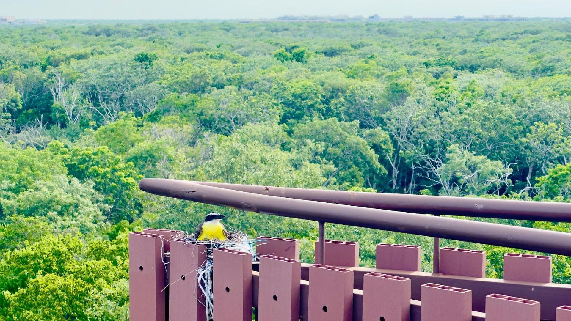 Jungle Guardian - Rooftop Pool & Club Сasa de vacaciones Tulum