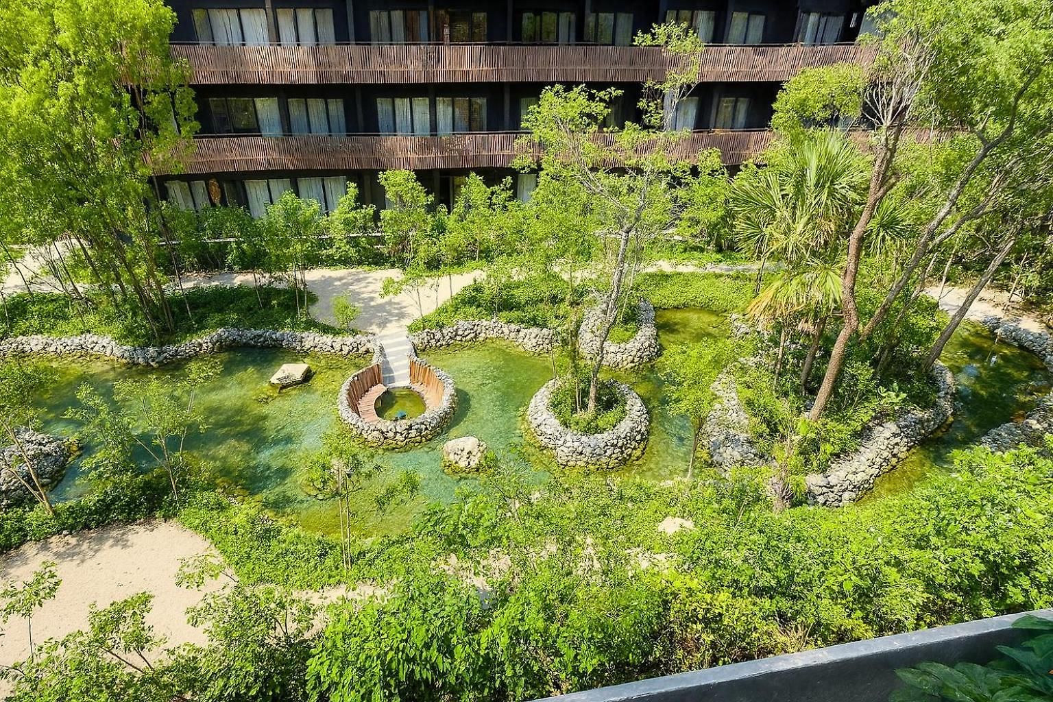 Jungle Guardian - Rooftop Pool & Club Tulum