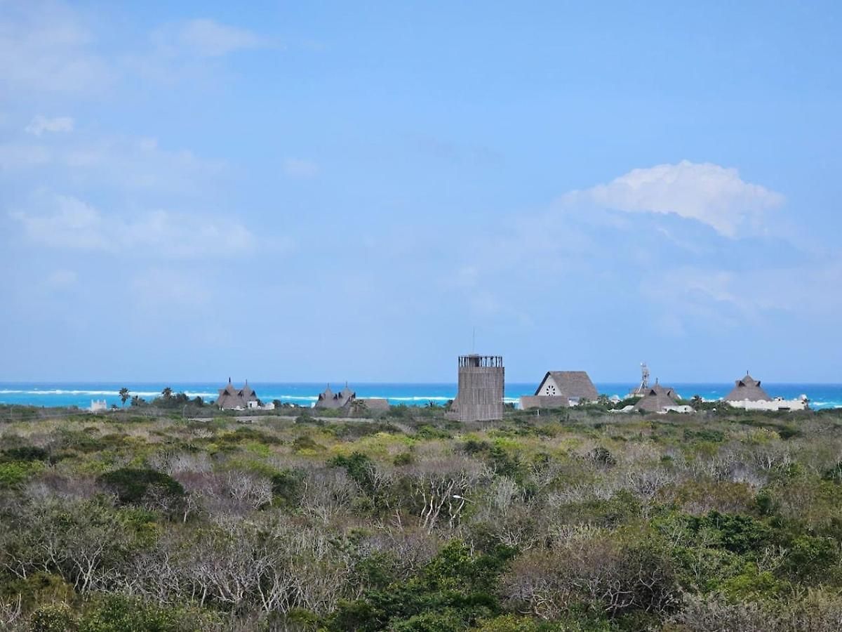 Apartamento Exclusive Jungle Walking 2 Private Terrace *