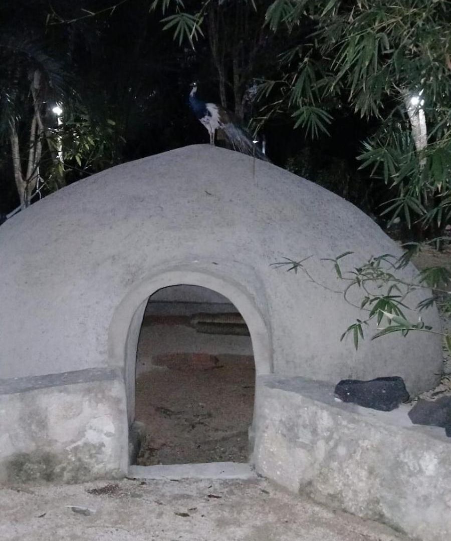 Casa Jabali Ecocchic * Tulum