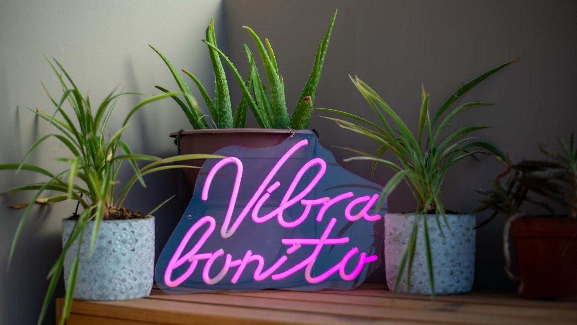 Apartment Vibra Bonito - Boho Chic With Rooftop & Infinite Pool *