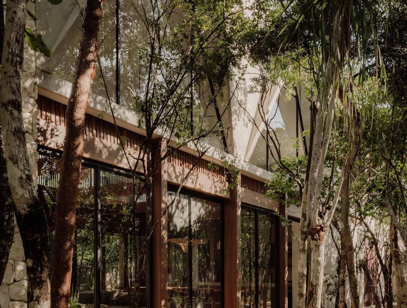 Jungle For 21 - Pool, Yoga & Concierge * Tulum