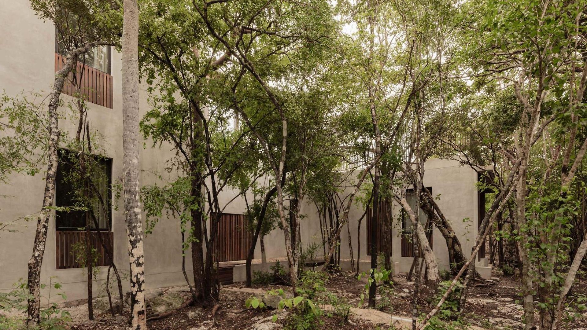 Jungle For 21 - Pool, Yoga & Concierge Tulum