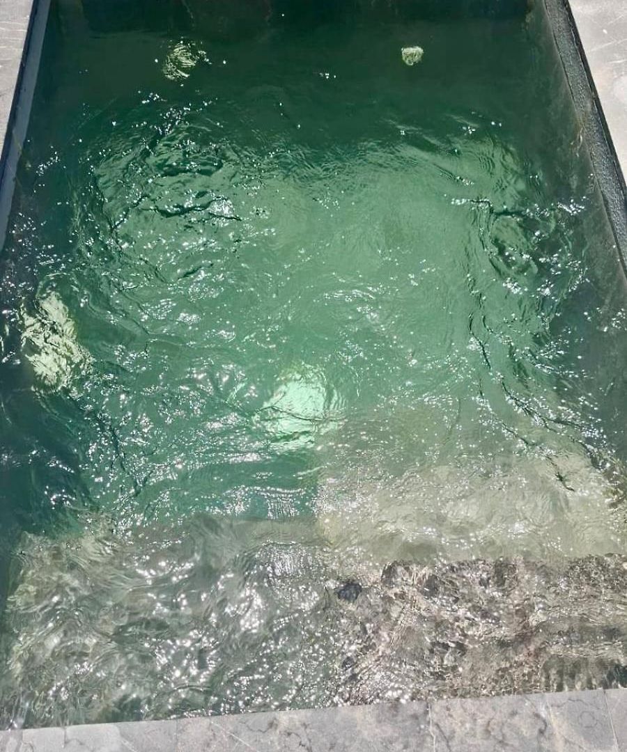 Apartment Plunge Pool Duplex Ph With Club Shuttle And Gym