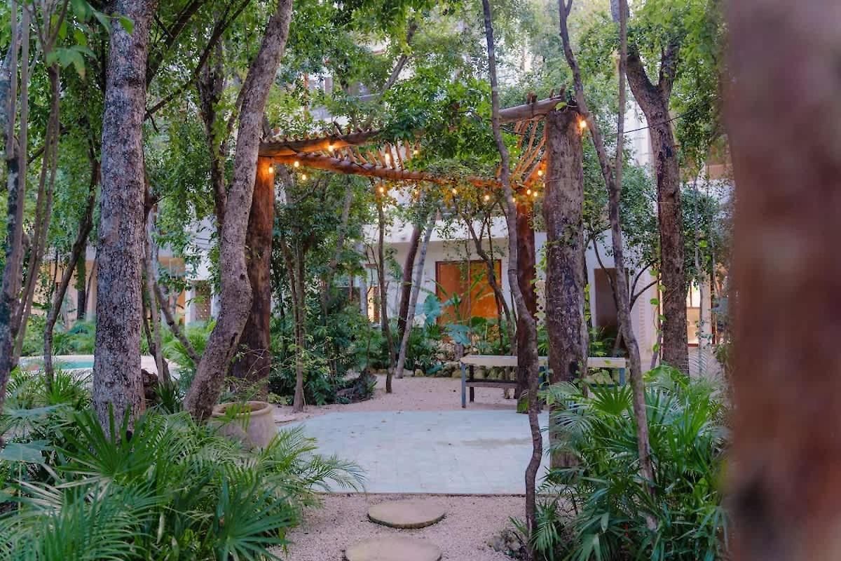 Stylish 3br Ahal With Pool In Holistika Tulum