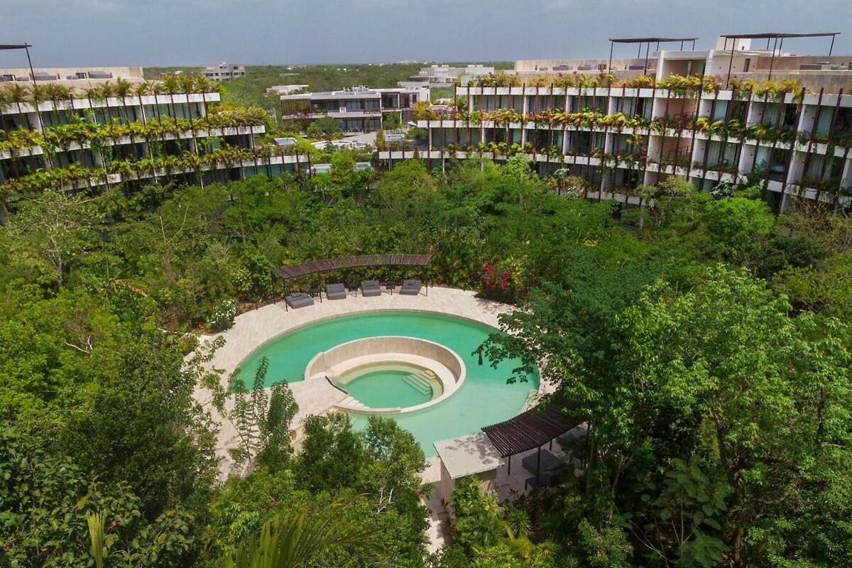 Mystic In The Jungle Tulum