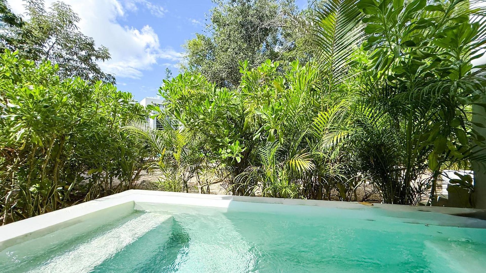 Apartment Jungle Private Pool King Bed Wifi 305 *