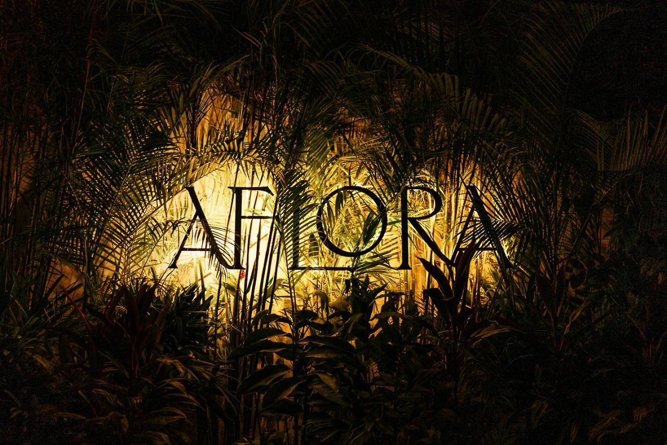 Aflora Quartz Loft Club Access Tulum