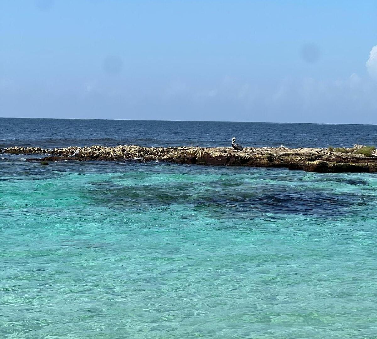 Beachfront In *