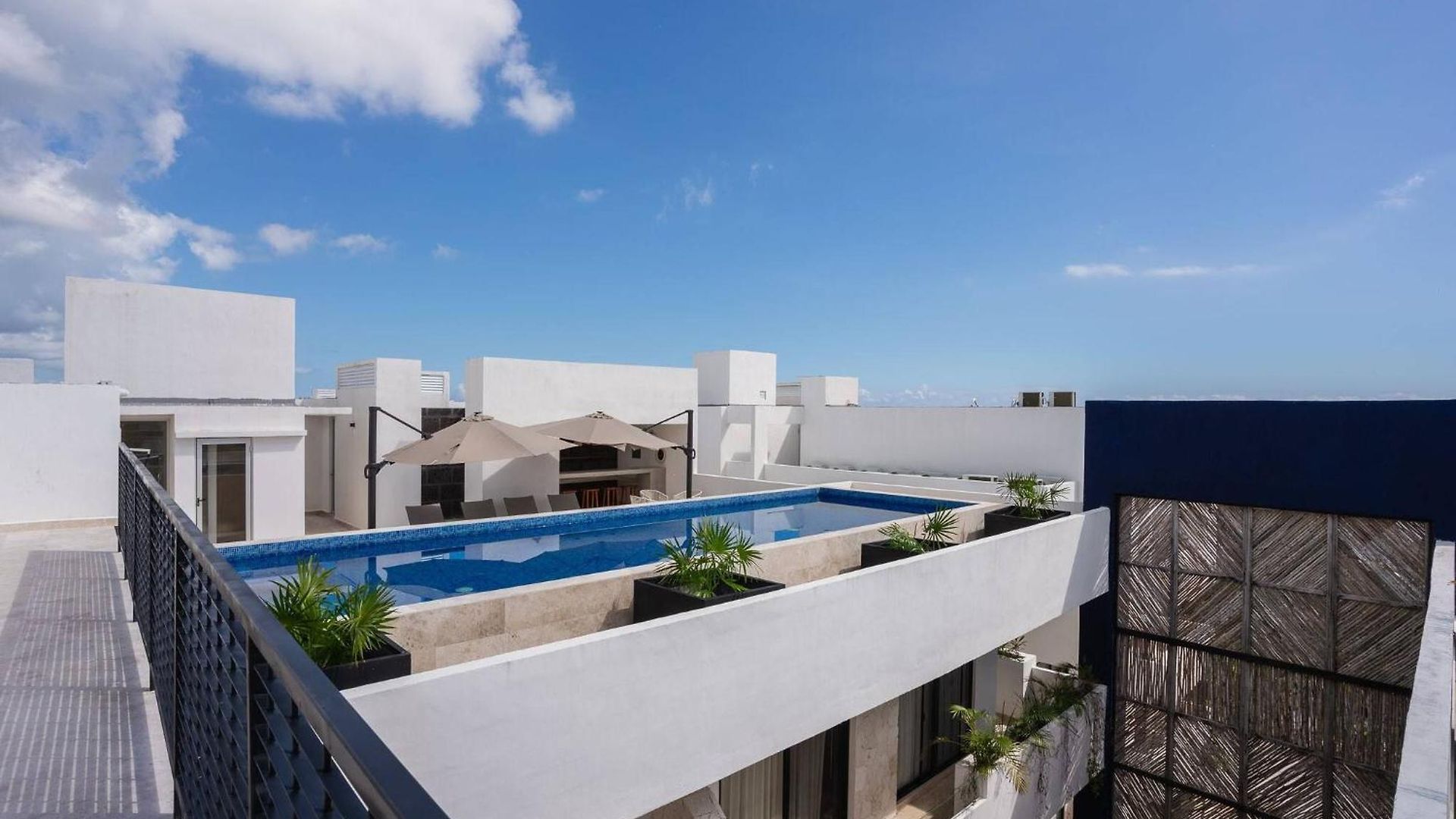 Modern And Bright Rooftop Pools Gym Cowork Tulum