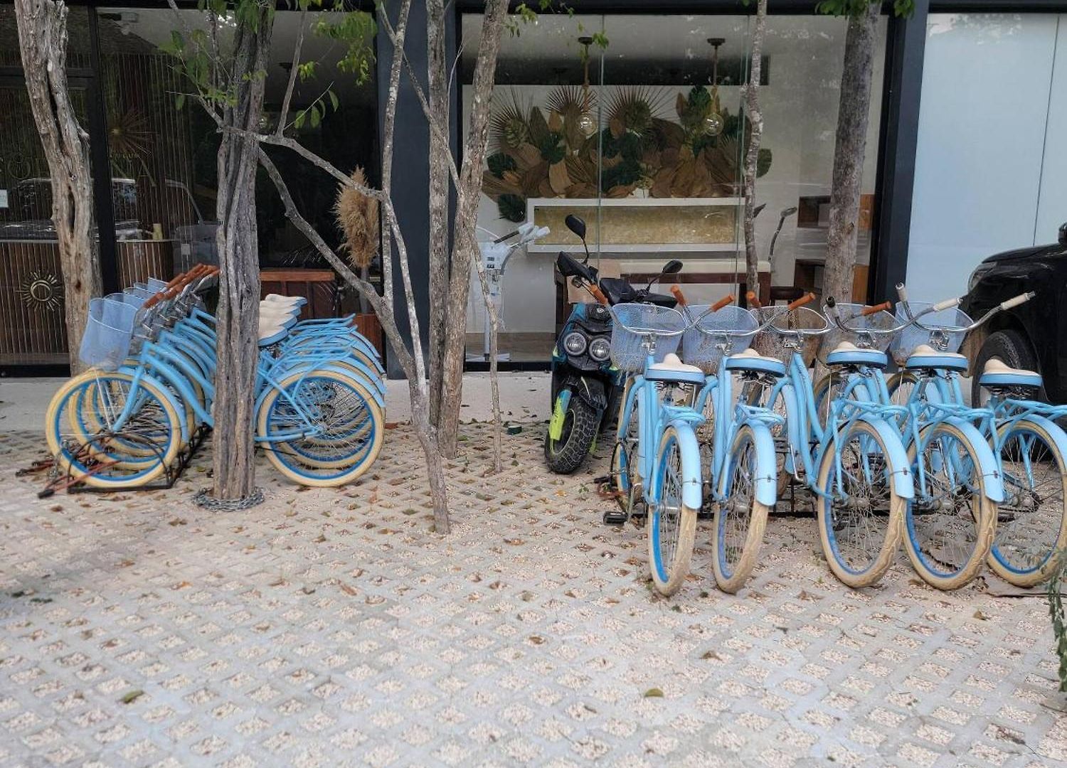 Apartment Tropical Retreat: Scooters, Hot Tub, Pool, Projector *