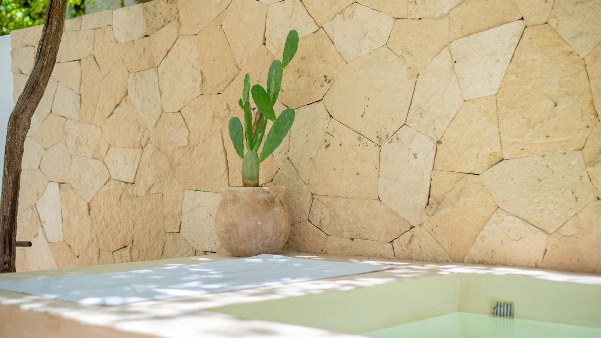 Tropical Retreat: Scooters, Hot Tub, Pool, Projector Tulum