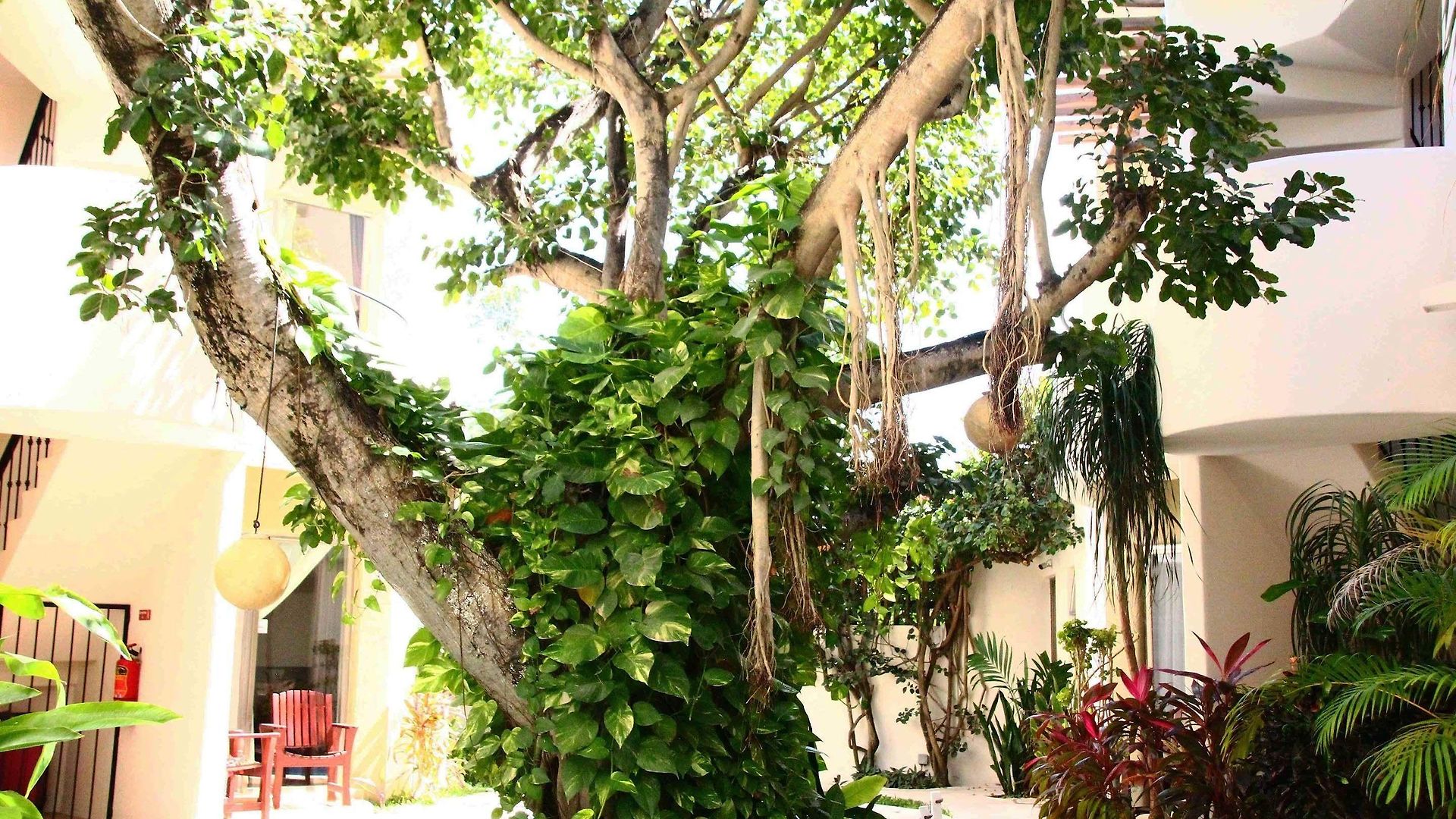 Hotel Boutique 06 (adults Only) 3*