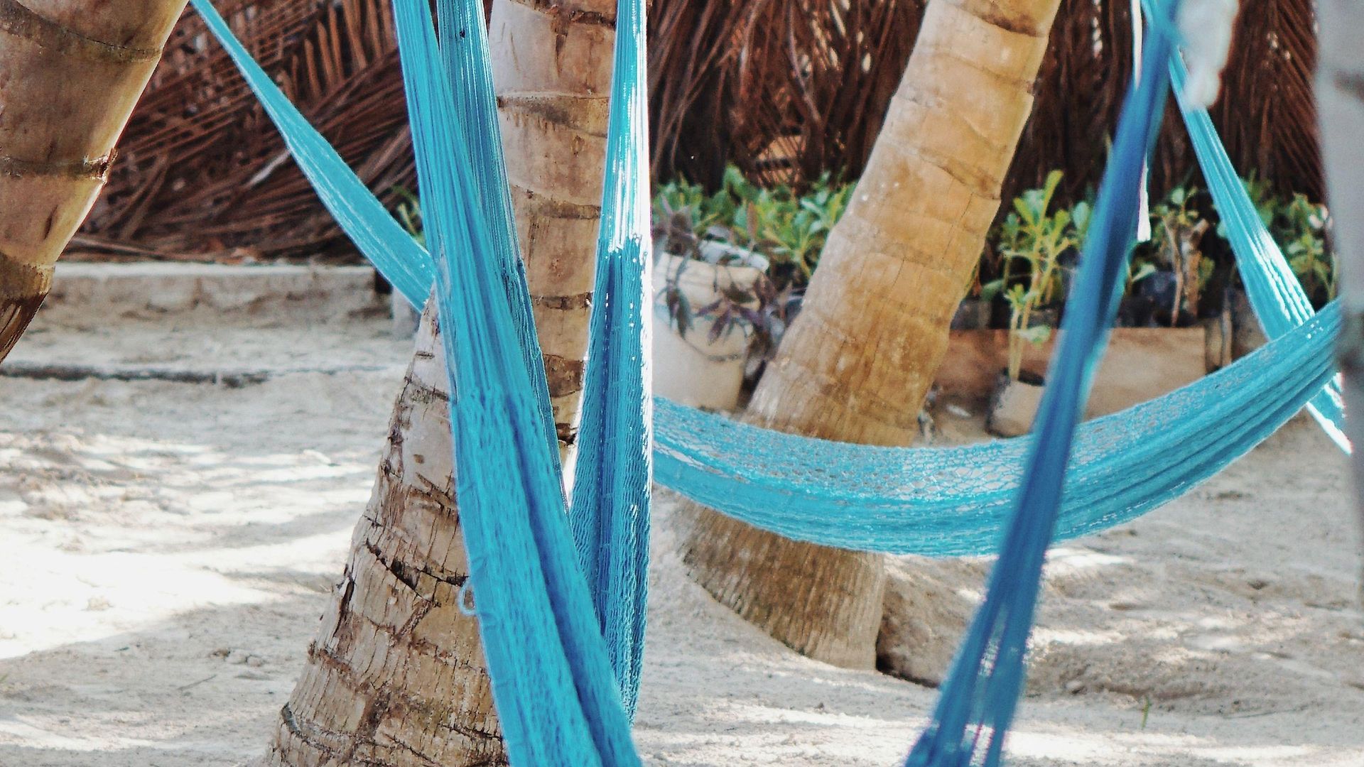 Tulum- & Hotel