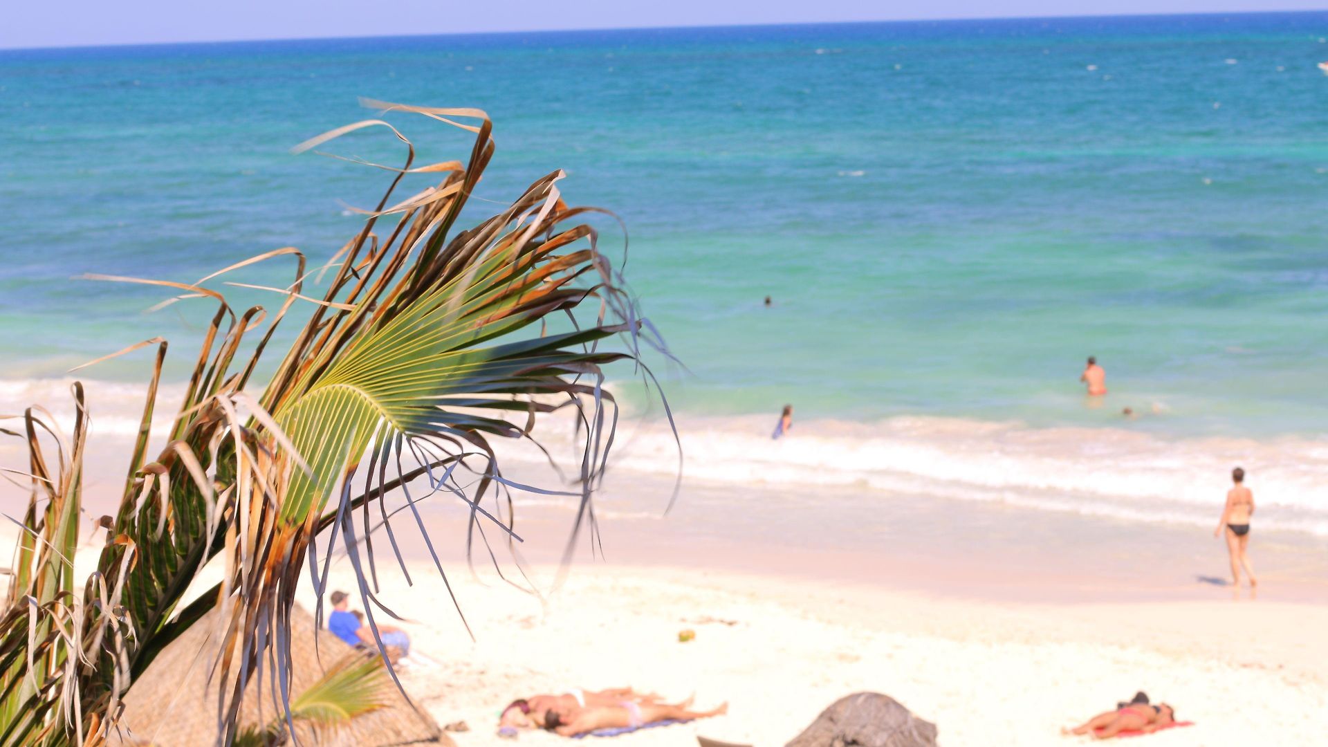Punta Piedra
