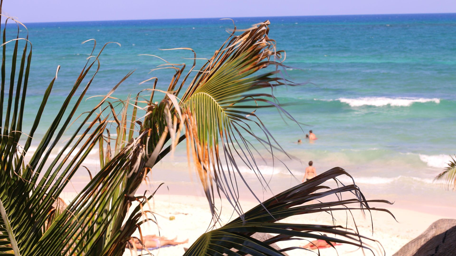 Punta Piedra 3*