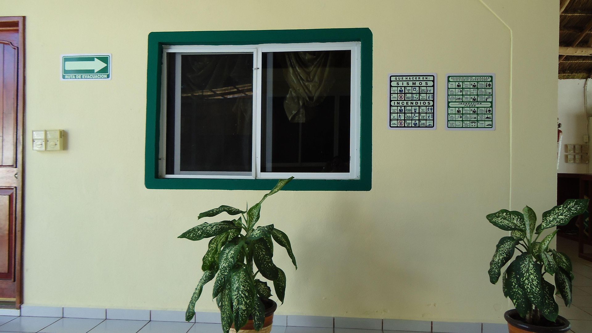 Hotel Oyo Palma Real