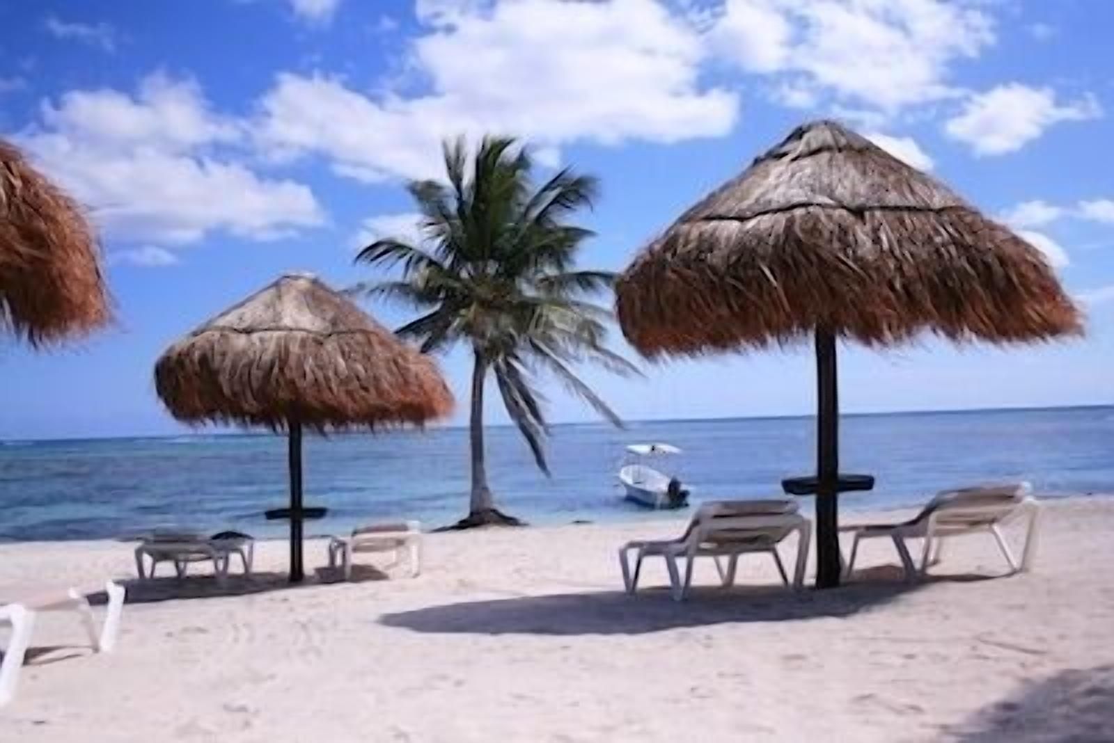 Pavoreal Tulum