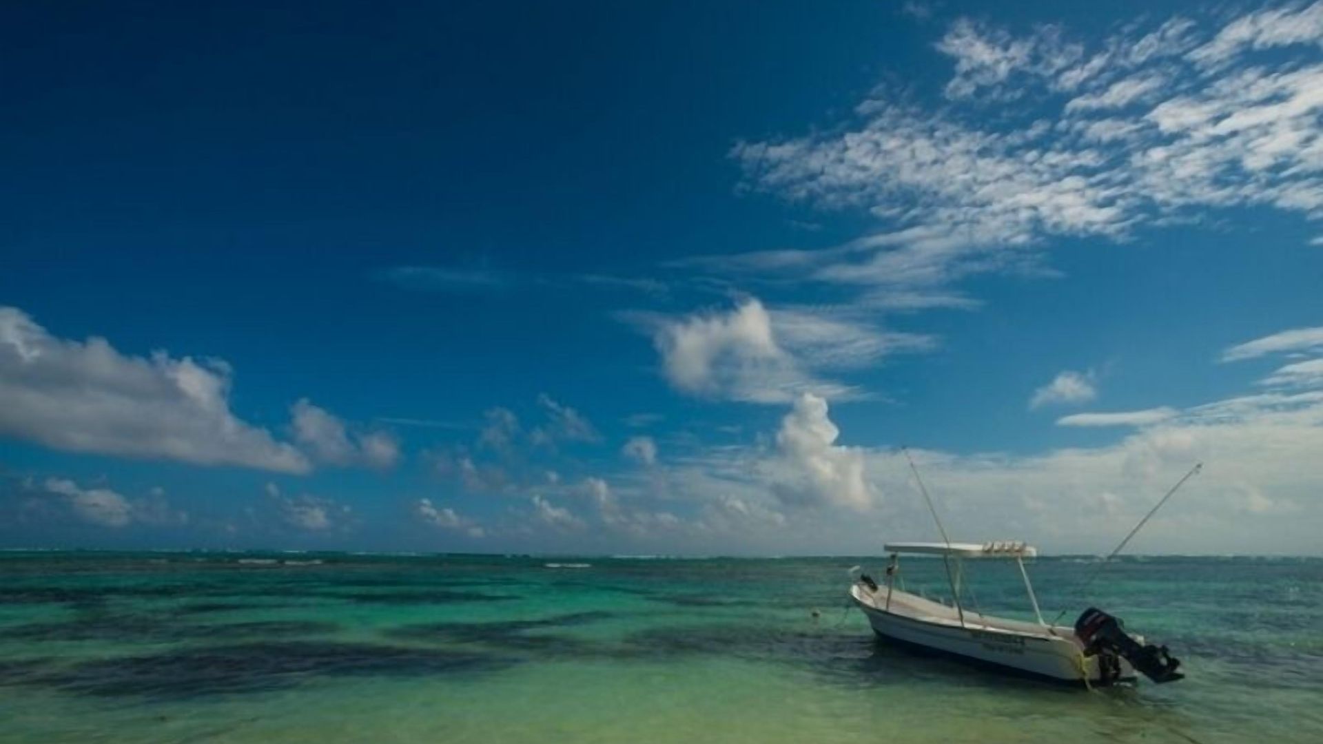 Pavoreal 4* Tulum