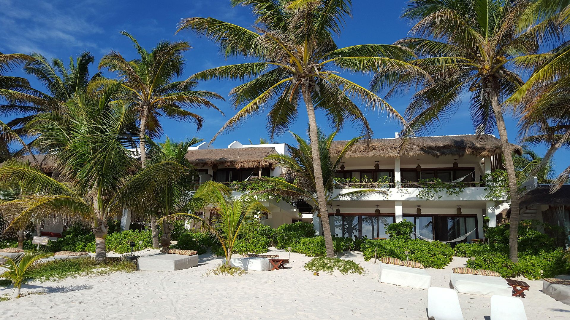 The Hotel