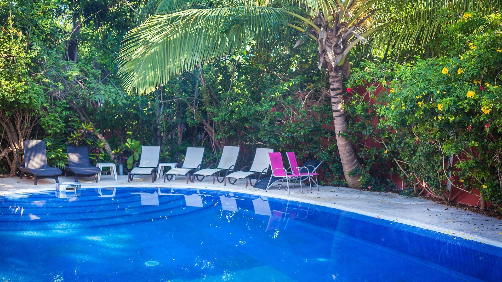 Casa Don Diego Bed & Breakfast 4*