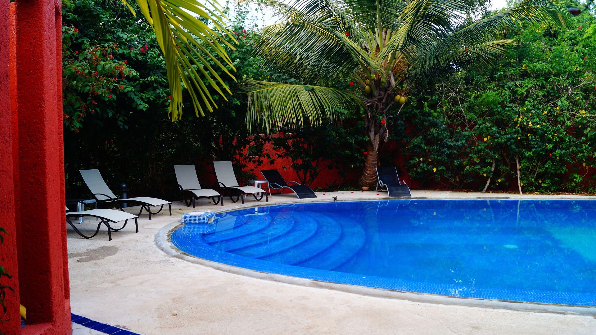 Casa Don Diego 4*