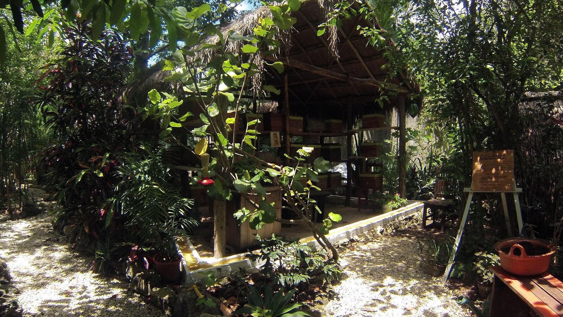 Bed & Breakfast Casa Don Diego