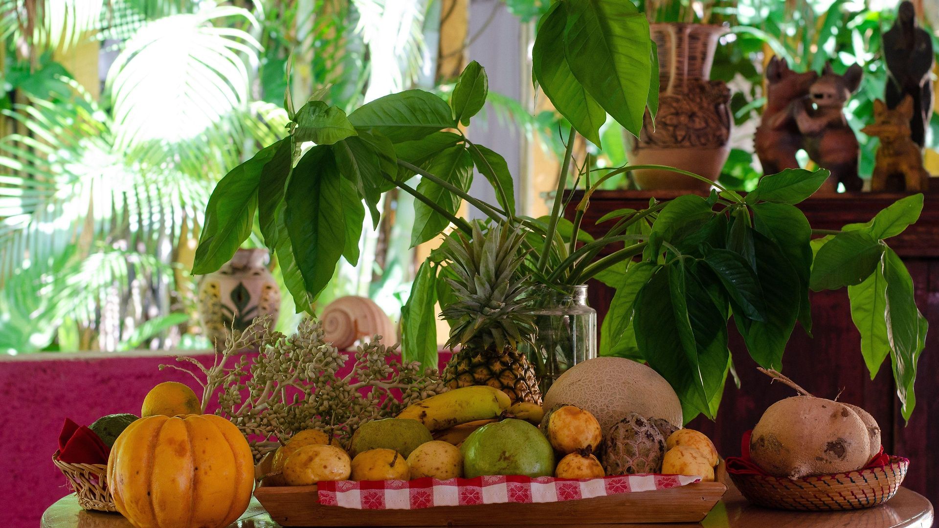 Bed & Breakfast Casa Don Diego